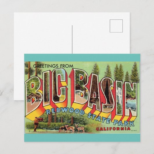 Greetings uit Big Basin California  kunst Briefkaart (Voorkant / Achterkant)