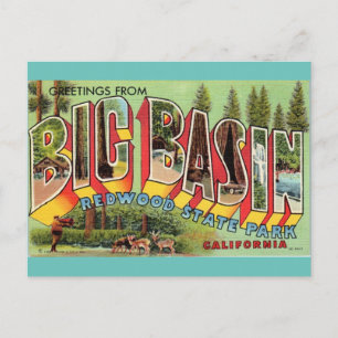 Greetings uit Big Basin California kunst Briefkaart