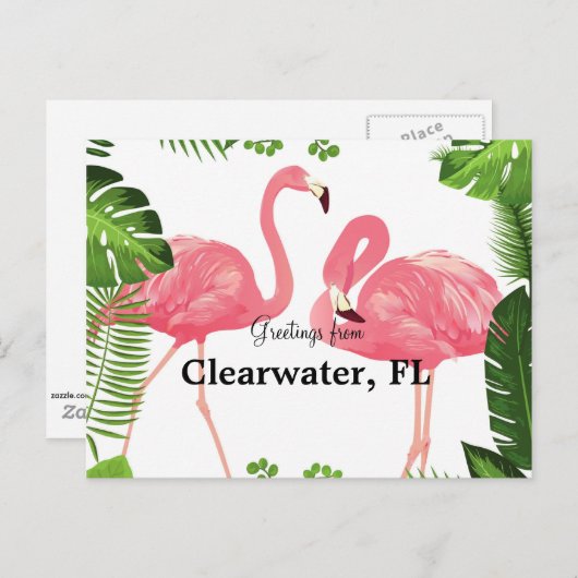 Greetings uit Clearwater, FL Briefkaart (Voorkant / Achterkant)