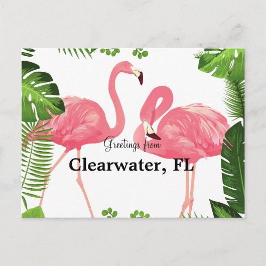 Greetings uit Clearwater, FL Briefkaart (Voorkant)
