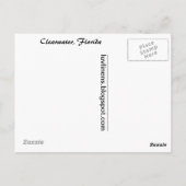 Greetings uit Clearwater, Florida Briefkaart (Achterkant)