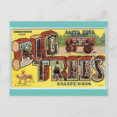 Greetings uit de kunst van Santa Cruz California Briefkaart (Voorkant)