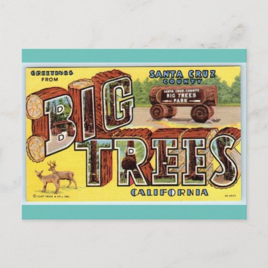 Greetings uit de  kunst van Santa Cruz California Briefkaart (Voorkant)