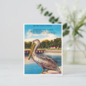 Greetings uit Florida, Old Bill Pelican Florida Briefkaart (Staand voorkant)