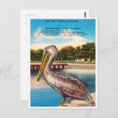 Greetings uit Florida, Old Bill Pelican Florida Briefkaart (Voorkant / Achterkant)