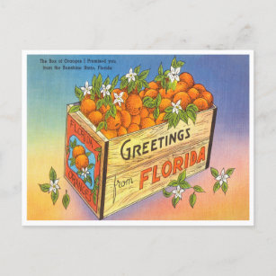 Greetings uit Florida Oranje Vintage Travel Briefkaart