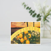 Greetings uit Florida Sinaasappels Vintage Travel Briefkaart (Staand voorkant)