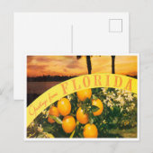 Greetings uit Florida Sinaasappels Vintage Travel Briefkaart (Voorkant / Achterkant)