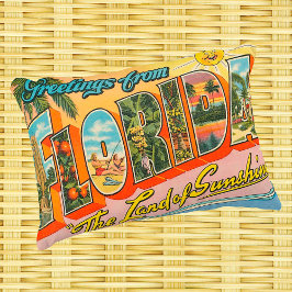 Greetings uit Florida Style Accent Kussen