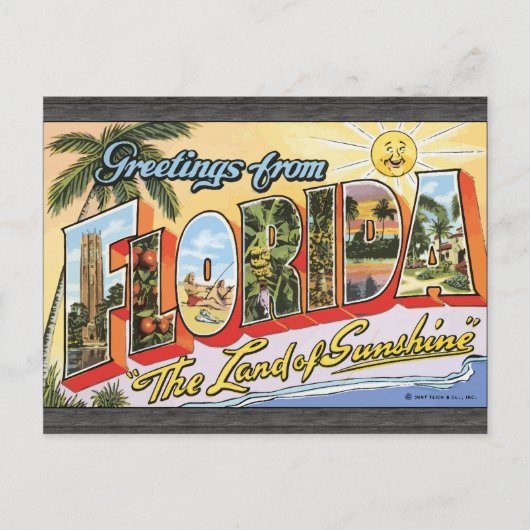 Greetings uit Florida "The Land of Sunshine", Vin Briefkaart (Voorkant)