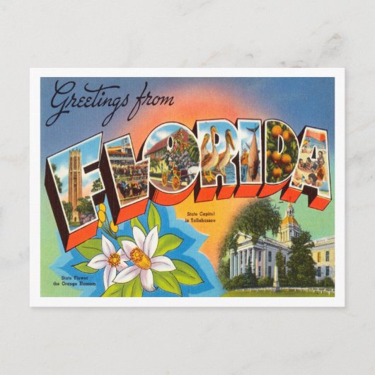 Greetings uit Florida Vintage Travel Briefkaart (Voorkant)