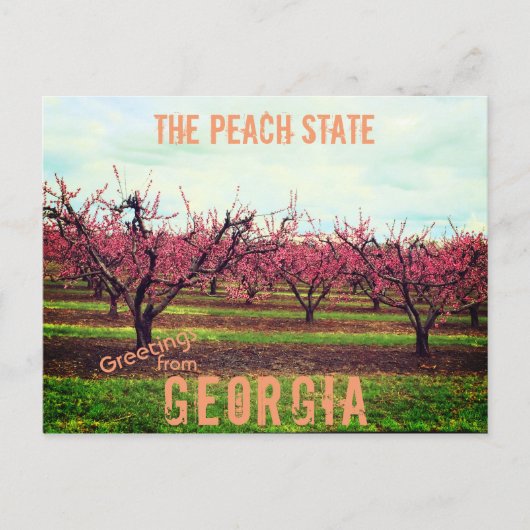 Greetings uit Georgia Peach Orchard Briefkaart (Voorkant)