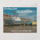 Greetings uit het nationaal park Alma NB en Fundy Briefkaart (Voorkant)
