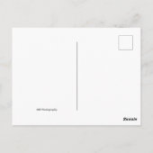 Greetings uit Nergens Briefkaart (Achterkant)