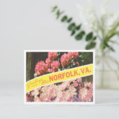 Greetings uit Norfolk, Virginia Vintage Travel Briefkaart (Staand voorkant)