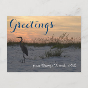 Greetings uit Oranje Beach, AL Briefkaart