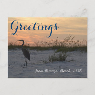 Greetings uit Oranje Beach, AL Briefkaart
