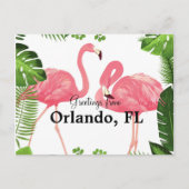 Greetings uit Orlando, FL-roze flamingos Briefkaart (Voorkant)