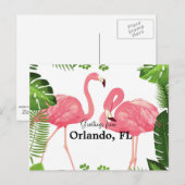Greetings uit Orlando, FL-roze flamingos Briefkaart (Voorkant / Achterkant)