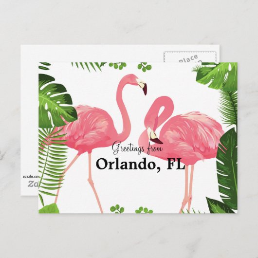 Greetings uit Orlando, FL-roze flamingos Briefkaart (Voorkant / Achterkant)