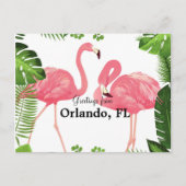 Greetings uit Orlando, FL-roze flamingos Briefkaart (Voorkant)