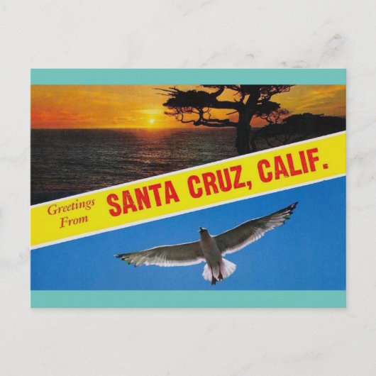 Greetings uit Santa Cruz California Travel Briefkaart (Voorkant)
