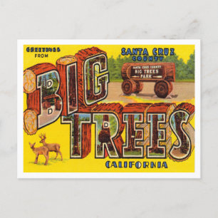 Greetings uit Santa Cruz County, Big Trees Park Briefkaart