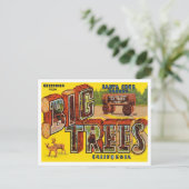 Greetings uit Santa Cruz County, Big Trees Park Briefkaart (Staand voorkant)
