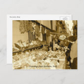 Greetings uit Sorrento, Italië Briefkaart (Voorkant / Achterkant)