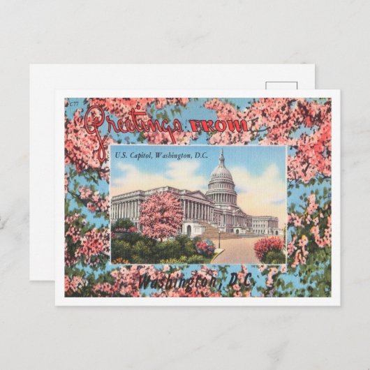 Greetings uit U.S. Capitol, Washington, D.C. Briefkaart (Voorkant / Achterkant)