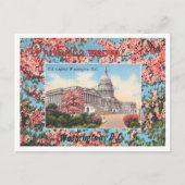 Greetings uit U.S. Capitol, Washington, D.C. Briefkaart (Voorkant)