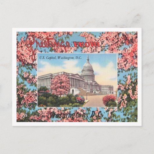 Greetings uit U.S. Capitol, Washington, D.C. Briefkaart (Voorkant)