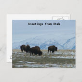Greetings uit Utah - American Bison Briefkaart (Voorkant / Achterkant)