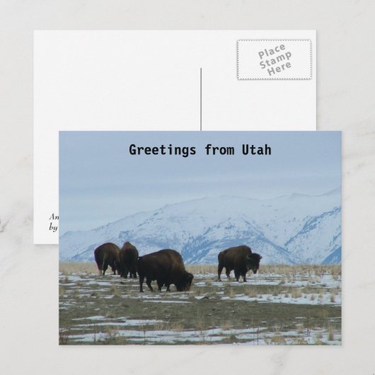 Greetings uit Utah - American Bison Briefkaart (Voorkant / Achterkant)