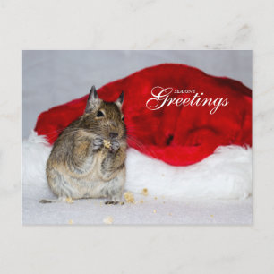 Greetings van Degu & Santa Hat Season Feestdagenkaart