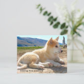 Greetings van Greenland 12 Briefkaart (Staand voorkant)