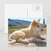 Greetings van Greenland 12 Briefkaart (Voorkant / Achterkant)