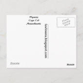 Greetings van Hyannis Briefkaart (Achterkant)