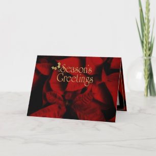 Greetings van Red Velvet Poinsettia Season Feestdagen Kaart