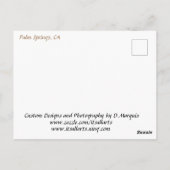 GREETTEN VAN HET DESERT #1 BRIEFKAART (Achterkant)