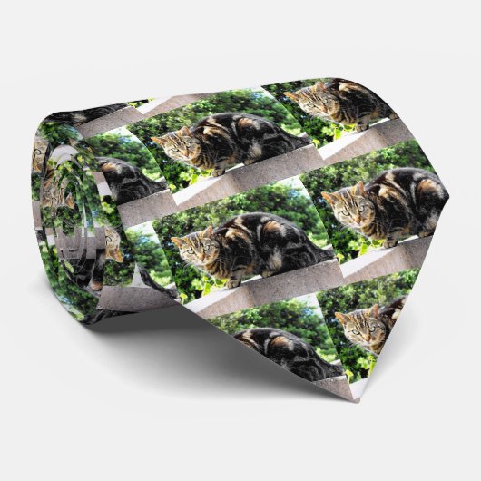 Gremlin the tabby cat stropdas (Opgerold)