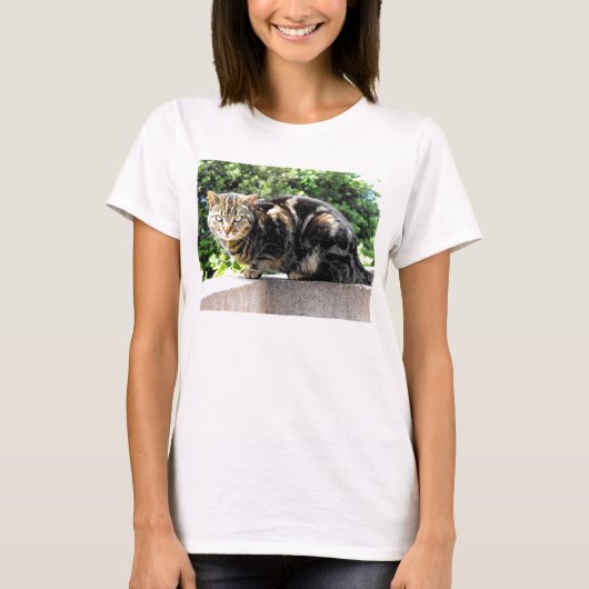 Gremlin the tabby cat t-shirt (Voorkant)
