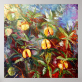 Grenada Nutmeg Poster (Voorkant)