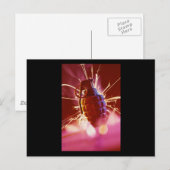 Grenade Briefkaart (Voorkant / Achterkant)