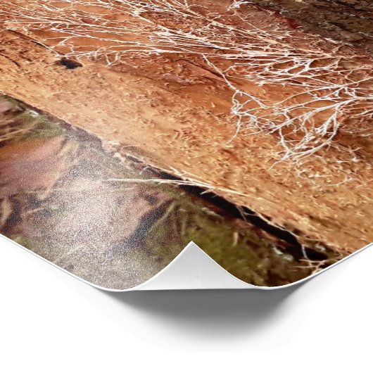 grenenkant foto afdruk (Hoek)