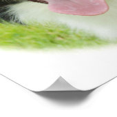 Grens Collie 9A14D-25 Poster (Hoek)