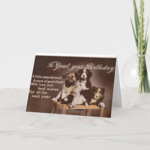  Grens Collie Birthday Card Kaart