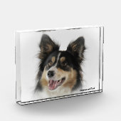 Grens Collie Dog. Fotoblokken (Links)