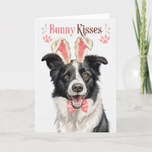 Grens Collie Dog in Bunny Ears voor Pasen