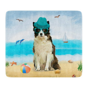 Grens Collie Dog op strand Snijplank